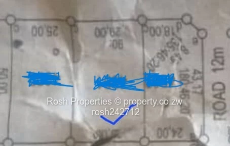 Stand for Sale-Diamond Park