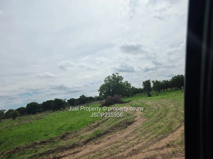 30 Hectares Plot to rent