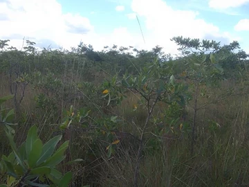 Farm & Agricultural Land