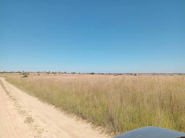 Farm & Agricultural Land