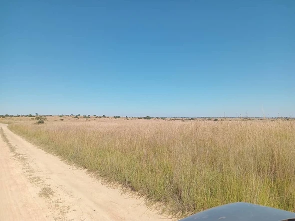 Farm & Agricultural Land