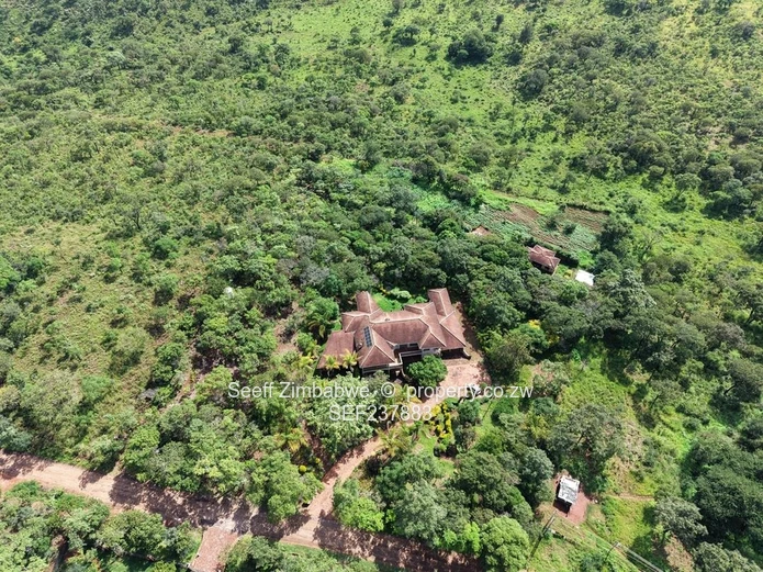 Exclusive 4000 sqm Panhandle Stand #2 for Sale in Shawasha