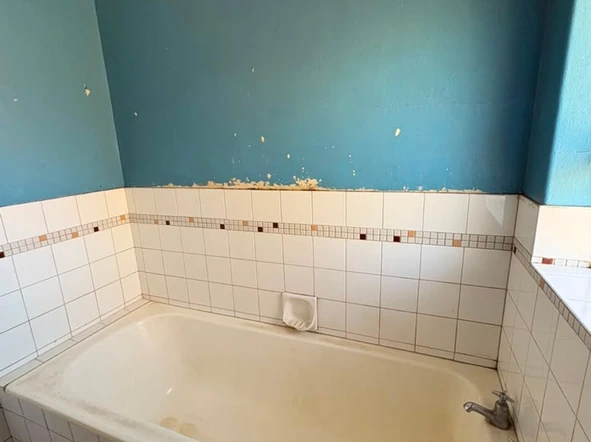 2 Bedroom Flat & Apartment