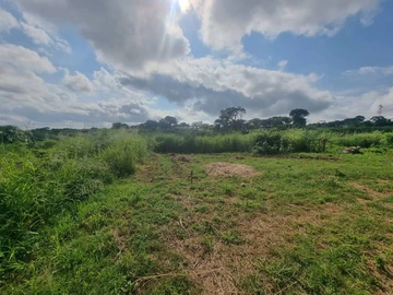 Commercial & Industrial Land