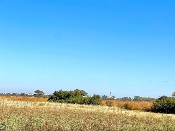 Farm & Agricultural Land