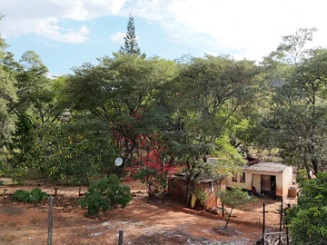 Farm & Agricultural Land