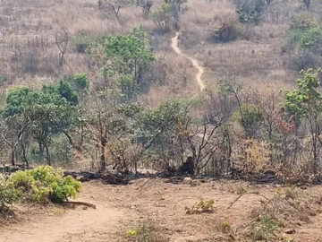 Farm & Agricultural Land