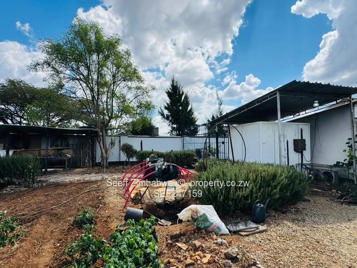 Prime Multi-Purpose Plot | Knowe, Norton