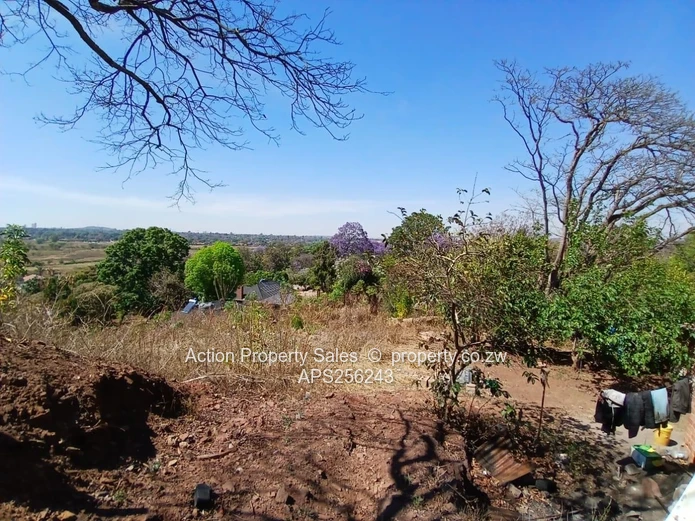 6936 Square Meters Of Land! 