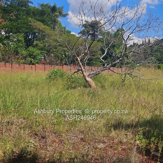 Prime Investment Opportunity in Mandara (Sole Mandate)