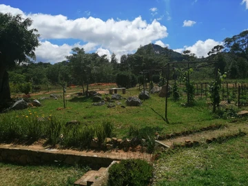 7.8Ha of Untouched Beauty, Nyamazi Greens, Nyanga