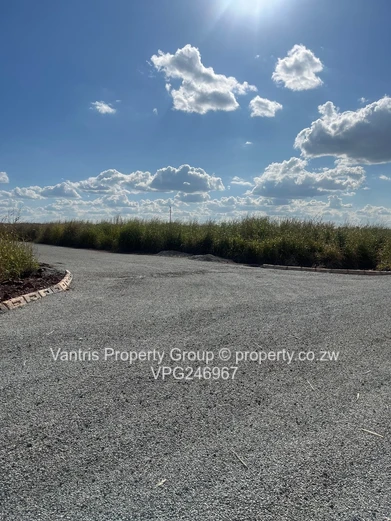 Norton Marypark Residential stands for sale !!!