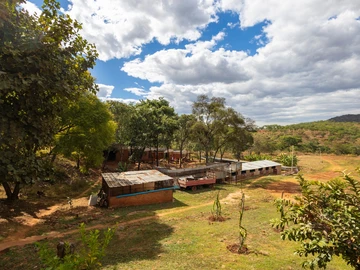 Farm & Agricultural Land