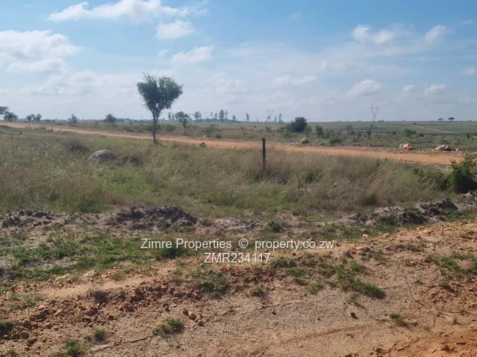 Tree Top Gweru After Toll Gate