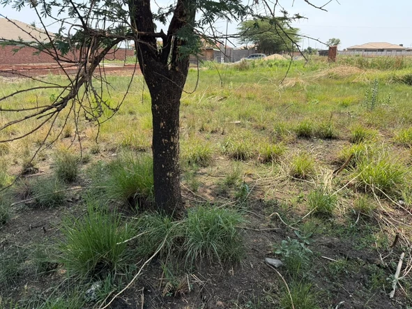 Stands & Residential Land