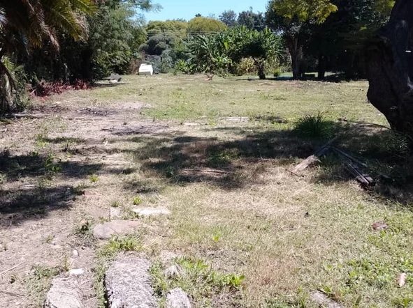 Commercial & Industrial Land