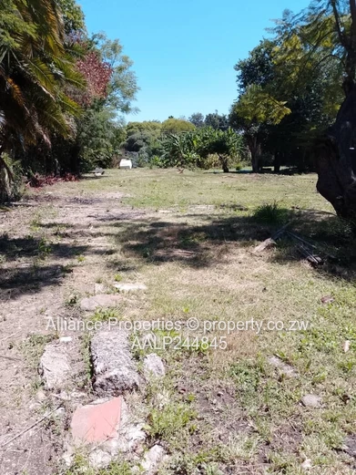 Avondale Prime Commercial Land – Usd 375,000