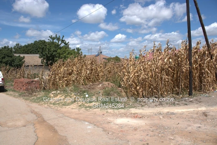 Zimre Park stand for sale