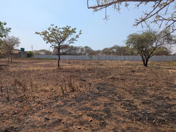 Stands & Residential Land