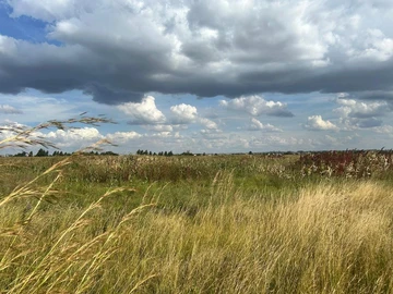 Farm & Agricultural Land