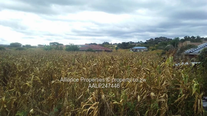 Borrowdale – Charlotte Brooke Vacant Stand For Sale