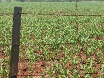 Farm & Agricultural Land