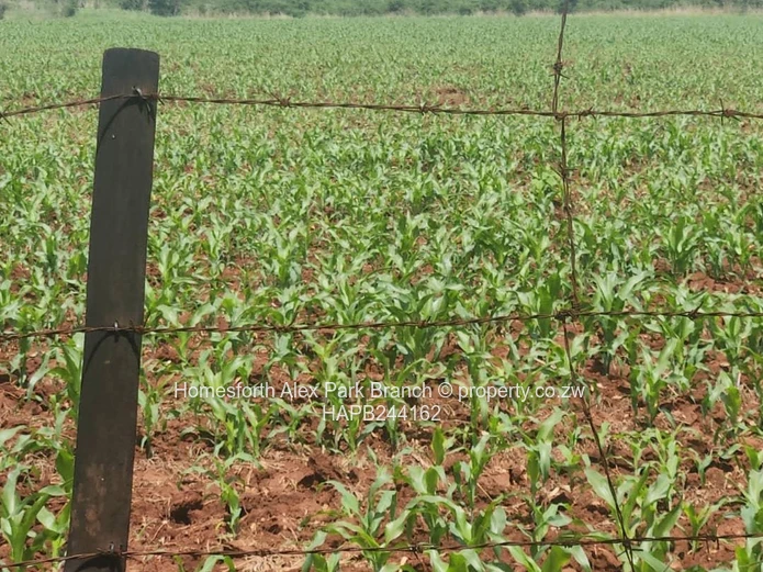 Banket Farm For Sale