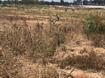 Commercial & Industrial Land