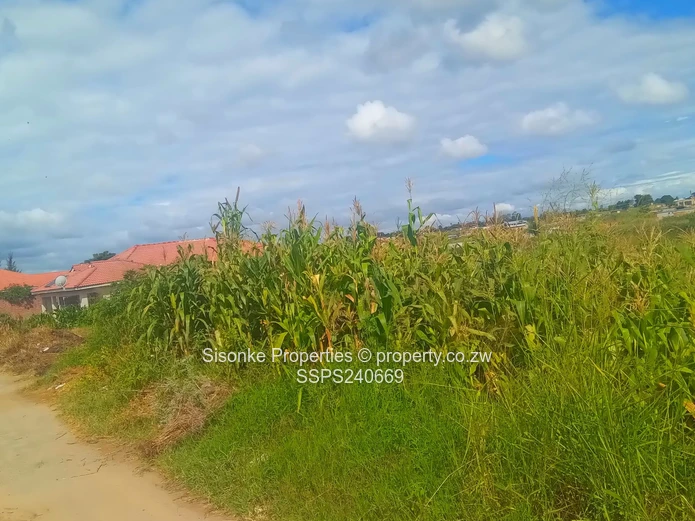 Prime 1000m2 stand for sale in Rockview