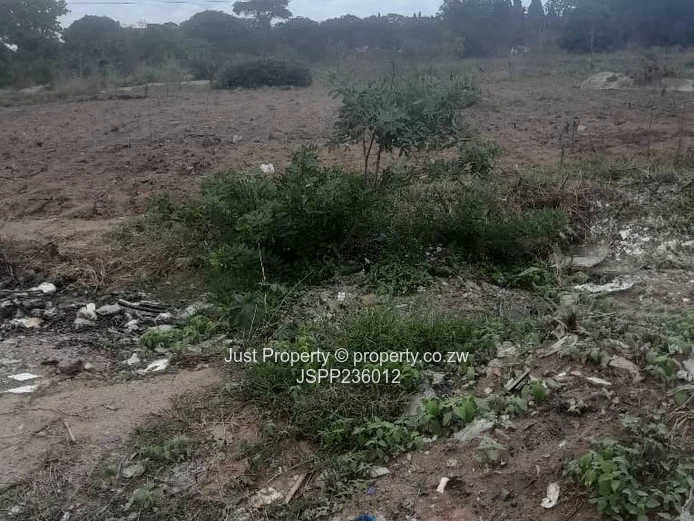 Msasa Park the Castle