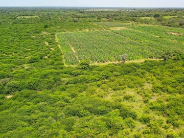 Farm & Agricultural Land