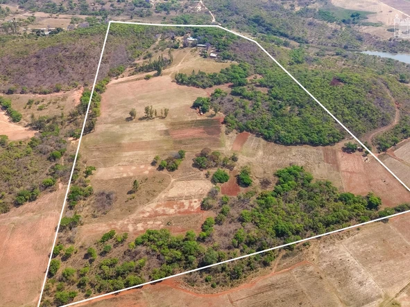 Farm & Agricultural Land