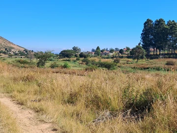 Stands & Residential Land