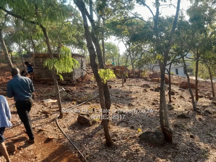 Preferred Investment