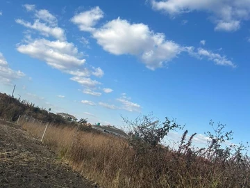 Land