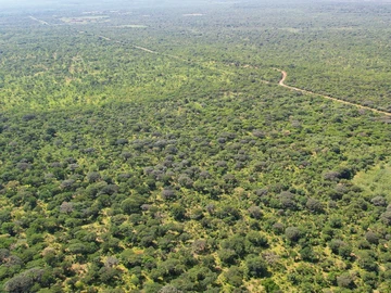 Farm & Agricultural Land