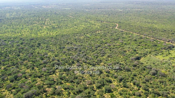 Nyamandlovu 1026 farm for sale