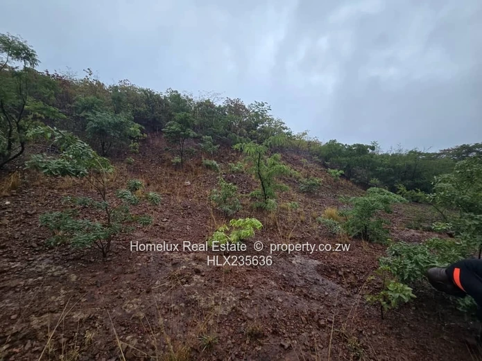 Prime Residential Stand in Westwood, Kambuzuma.  