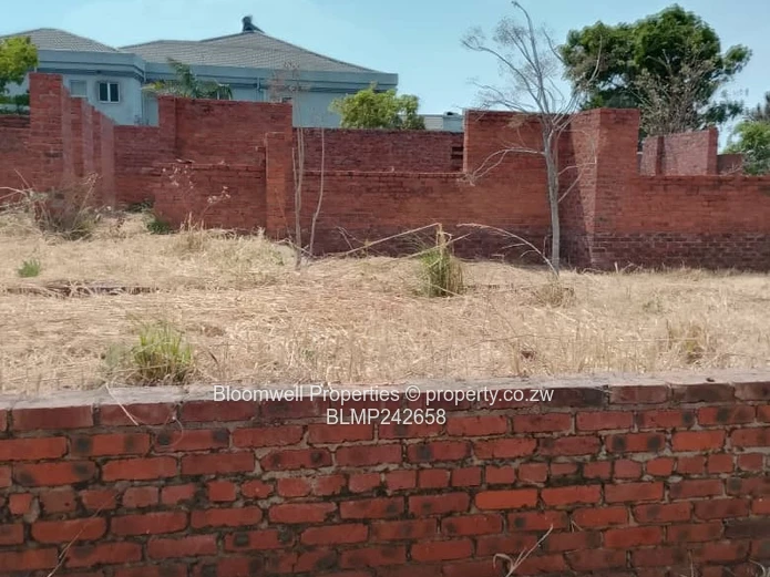 Huge Potential Endless Possibilities