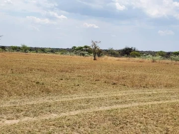 Figtree Farm For Sale