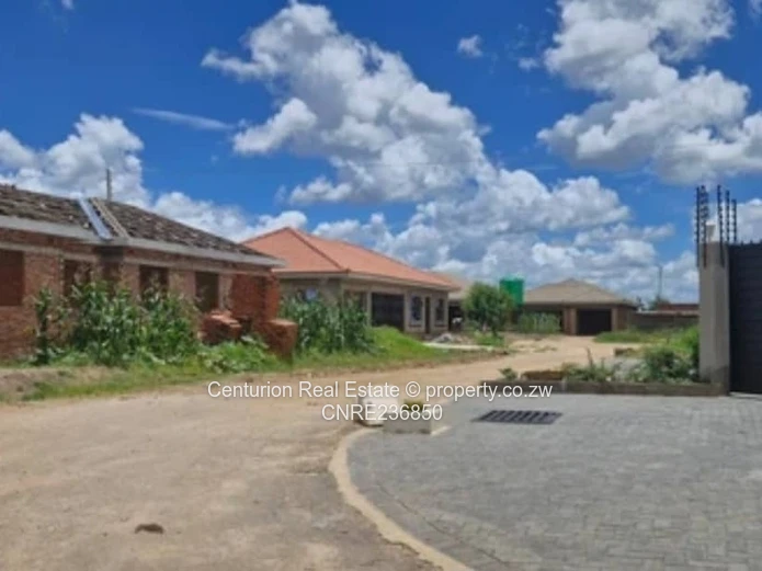 Glaudina Stands for sale