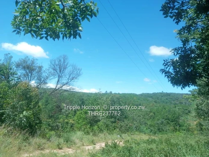 Farm for sale in Nyanga