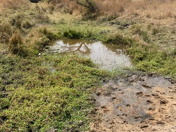 Farm & Agricultural Land