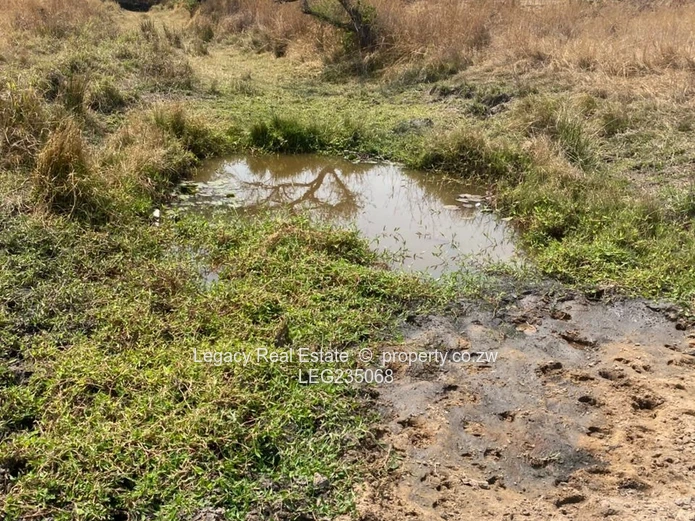 10 Hectares for Sale – Fertile Land with Stream | Flexible Terms