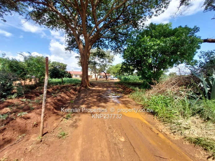 Perfect Investment Opportunity!!!