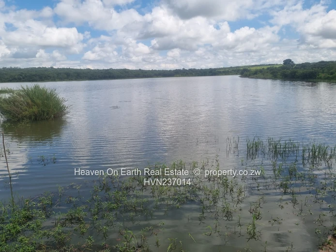 Green Gold For You Farmers!!