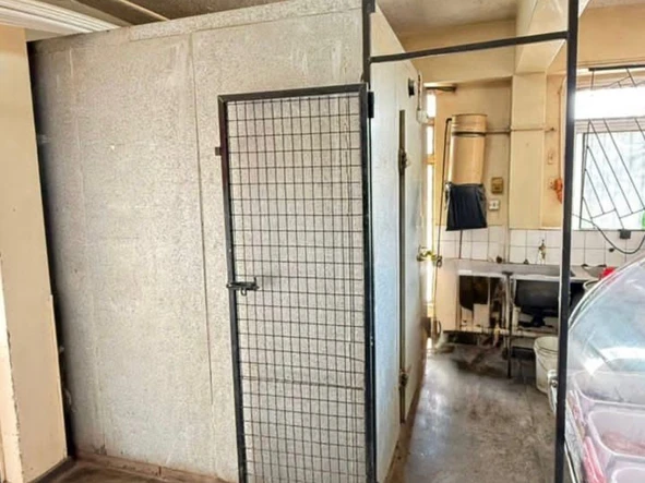 Shop & Retail Property