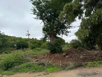 Commercial & Industrial Land