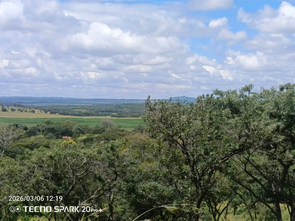 Farm & Agricultural Land