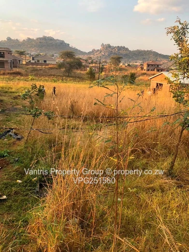 Palm village stands for sale !!!!